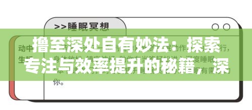 撸至深处自有妙法：探索专注与效率提升的秘籍，深度解析持续性能力之道